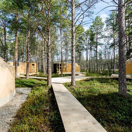 GLØD Aurora Canvas Dome Alta Exterior foto