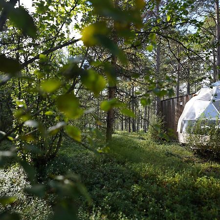GLØD Aurora Canvas Dome Alta Exterior foto