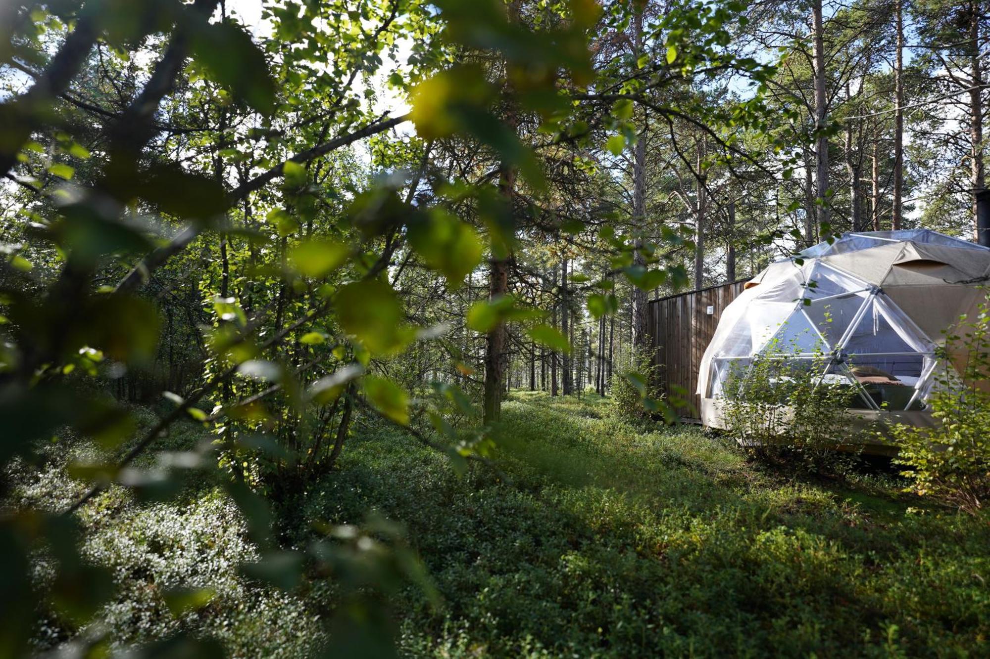 GLØD Aurora Canvas Dome Alta Exterior foto